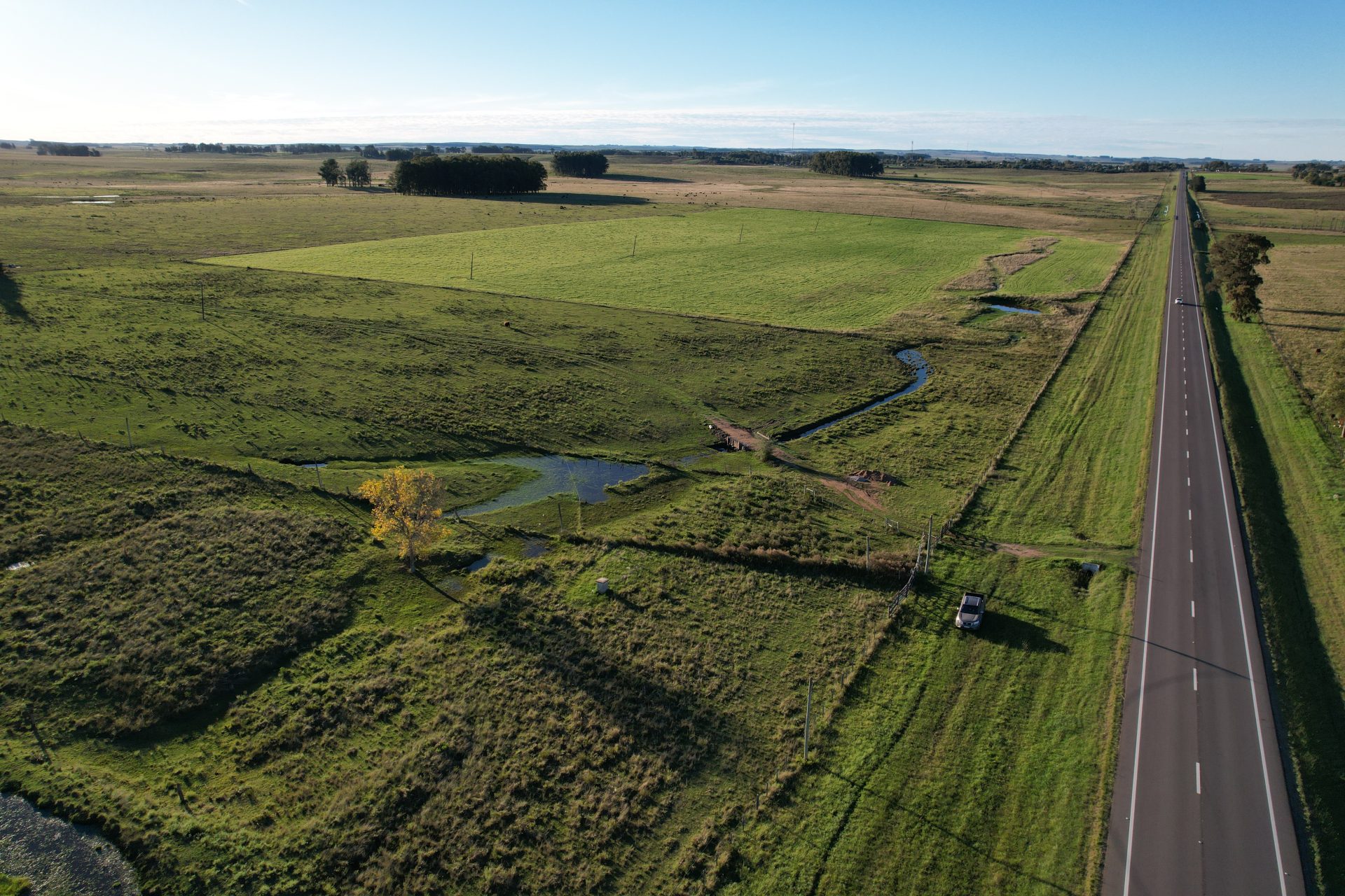 Campo agrícola sobre Ruta 8 en Lavalleja