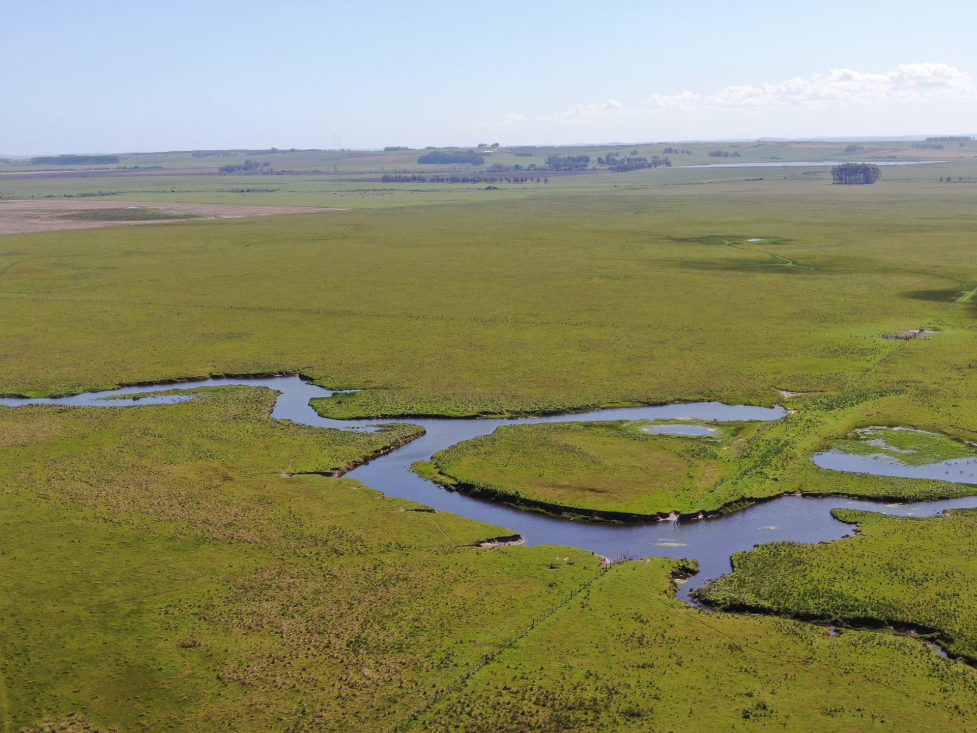 1,000 ha farm in Rocha — 3