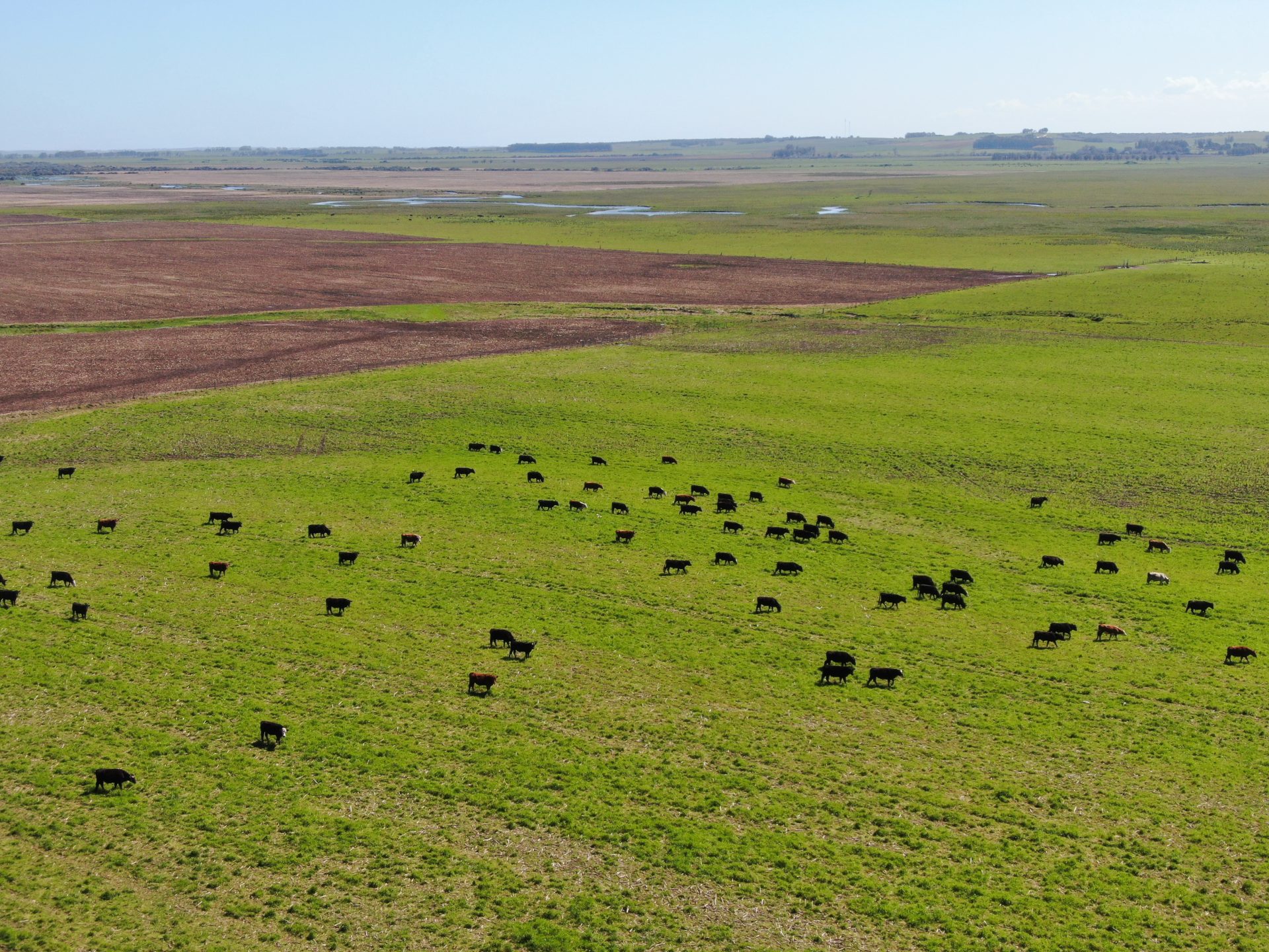 1,000 ha farm in Rocha — 4
